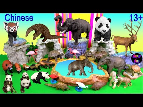 , title : 'Chinese Animals - NEW Panda, Elephant, Red Panda, Lynx, Tortoise, Wolverine, Pangolin, Deer 中国动物 13+'