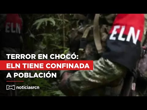 ELN causa terror y tiene alrededor de 30.000 personas confinadas en el Chocó
