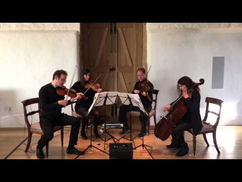 Carducci Quartet Shostakovich 15 Vodcast No.1