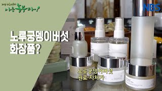 [나의 사랑, 노루궁뎅이버섯] 원천 씨의 꿈은 이루어진다~!