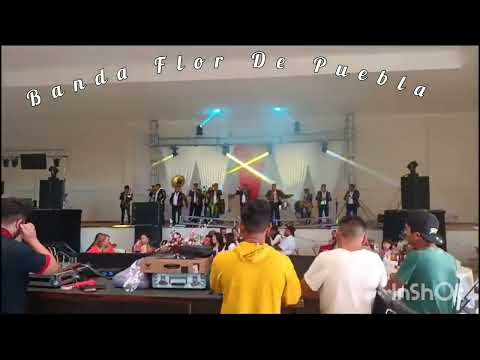 Banda Flor De Puebla en vivo en Metepec Hidalgo 13 de abril 24(3)