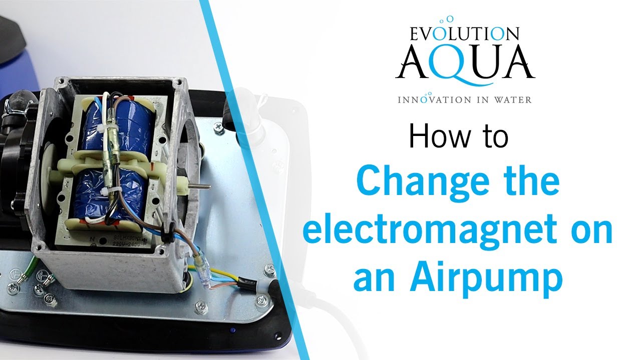 How to change the electromagnet on an Evolution Aqua Airpump