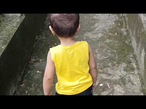 SATVIK PLAYING WITH PUPPIES