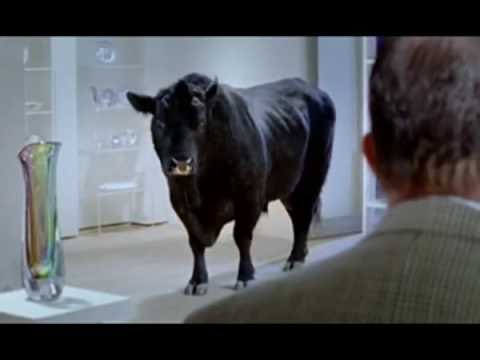 Vero Bull in a china shop TV ad