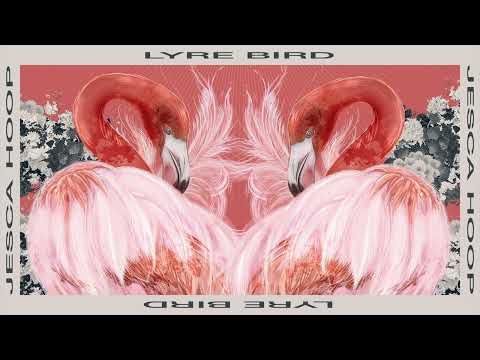 Video thumbnail for Lyrebird