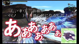 【MHF-Z実況#6】野鳥観察なんてやめて炭火焼きにしてやるよぉ#6【孤独な戦い】