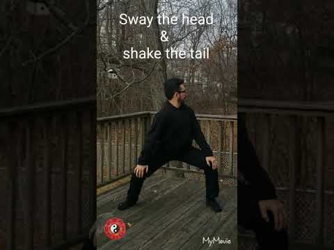 BA DUAN JIN - 8 BROCADE CHI KUNG