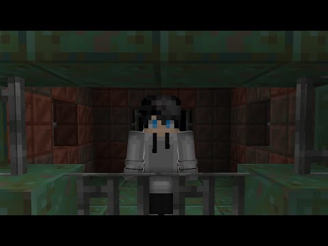 Poafa - How I Lost Everything on this Minecraft SMP...