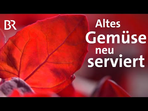 Die Gartenmelde: Gesundes Ur-Gemüse frisch zubereiten | Zwischen Spessart und Karwendel | BR
