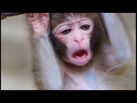 CoD Midnight Releases and Eyesight