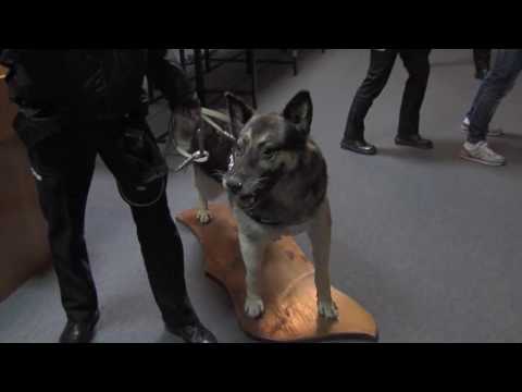 Museo Policía Nacional Video