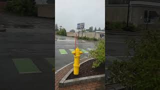 Pittsfield  Massachusetts
