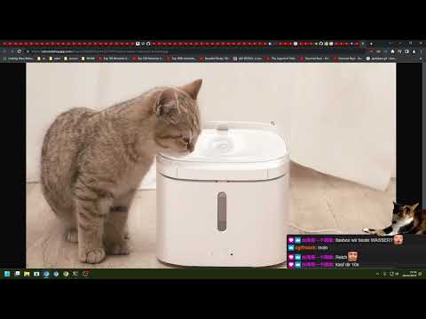 widepeepoHappy 😊 (08.04.2023)