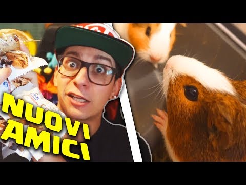 Candeggiare pigmentary nota il succo di limone Come candeggiare un pigmentary notano il kefir