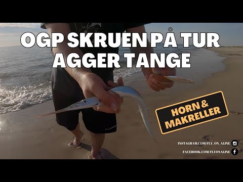 Endnu en go tur til Agger l Masse af hornfisk og ikke så mange makreller, men en rigtig go tur.