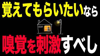 【作業用】モテる秘訣は『匂い』にあった【雑談ラジオ】