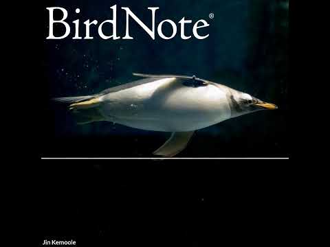 Meet the Robo-Penguin