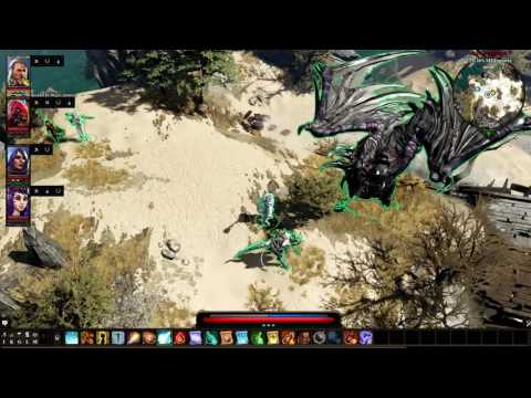 Divinity Original Sin 2 Dragon SLANE and The Witch || with a friend