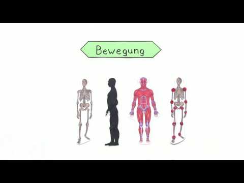 38-39 Wochen Schmerz Röntgen Klassifizierung von Osteochondrose