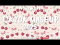 Tiktok Mashup November 2025 Not Clean