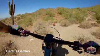 A day of shredding Hawes and the Usery Mountain Trails.