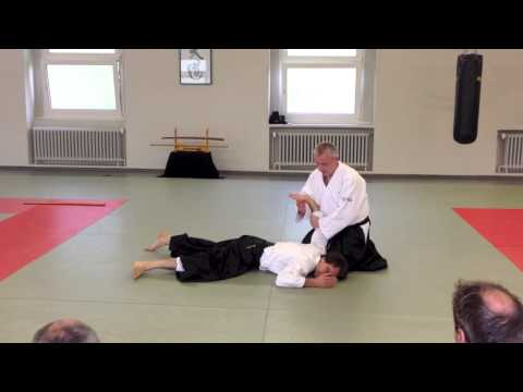 Tendoryu Aikido Lehrgang 11.05.2013