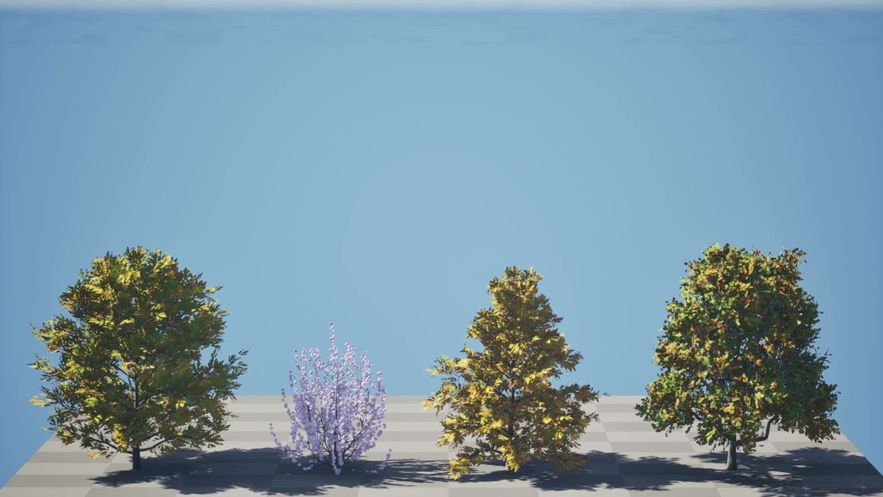 北米のチューリップ ツリー パック 3Dモデル