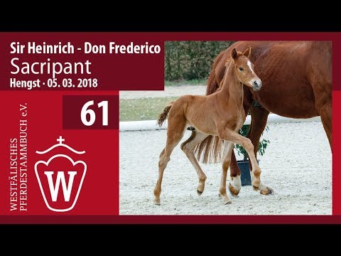 61 Sacripant HF v. Sir Heinrich - Don Frederico