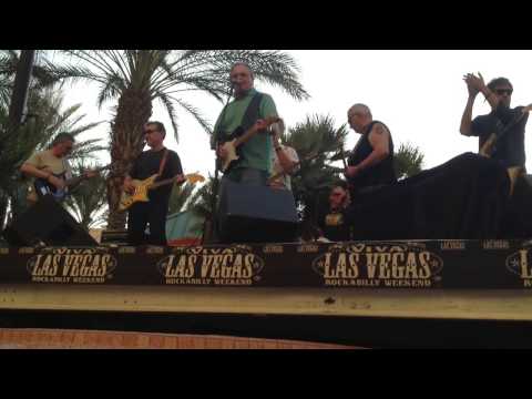 VLV17 - The Trashmen - Surfin' Bird