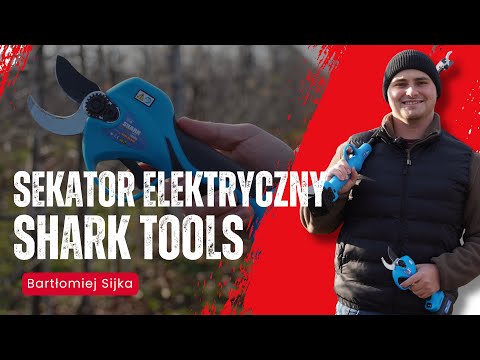 Shark Tools electric pruner - excellent price/quality ratio!