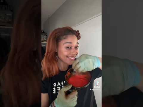 Dying my hair  Copper w/ L’Oréal Hicolor