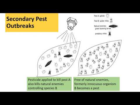 The Integrated Pest Management Concept