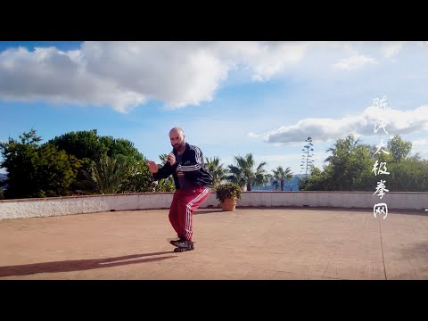 Chen Taijiquan yilu excerpt