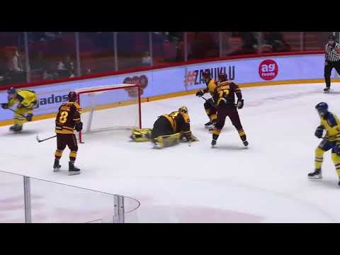 Zubři v Jihlavě padli