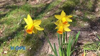 Chime In Action | Being A Community Connector