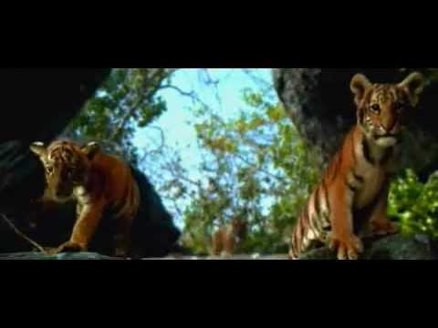 ZWEI BRÜDER | Deutscher Trailer | Jetzt auf BLU - RAY & DVD!