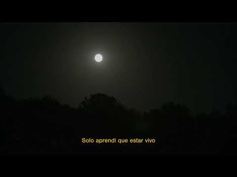 Pedro Pastor y Los Locos Descalzos - No aprendí