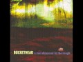 Buckethead-The Return of Captain EO-A Real ...