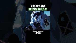 원피스) 사황의 오른팔 부선장들 최신 근황
