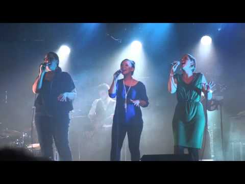 The Ladybug - PURE Trailer