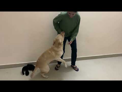 Finally! Richie is Happy Now 😌❤️ | Comfortable and Happy | Richie Rich | Simran Khindri Vlogs