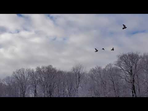 Fast Floating Clouds in the Blue Sky with Calming and Relaxing Music