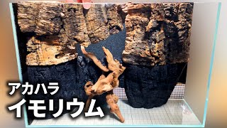 壁イモリウム - 構想と土台