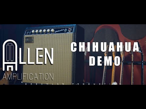 Allen Amplification Chihuahua 2020 Black image 18
