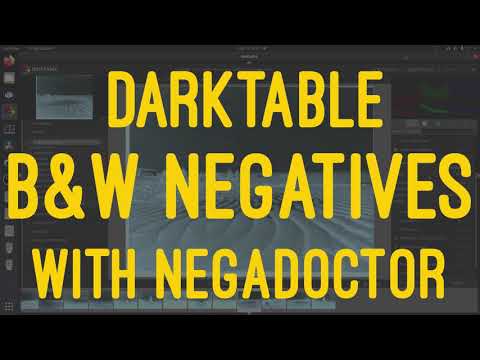 Working with Black and White Negatives in Darktable