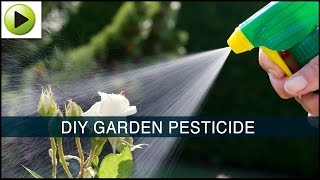 Homemade Garden Pesticide