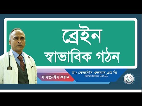 মগজ্—স্বাভাবিক গঢন