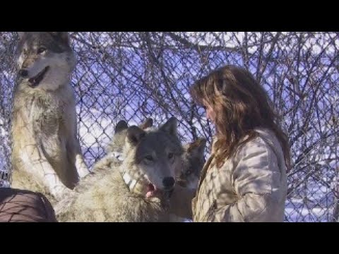 For Decades, Wolf Center Has Been Family Passion Project