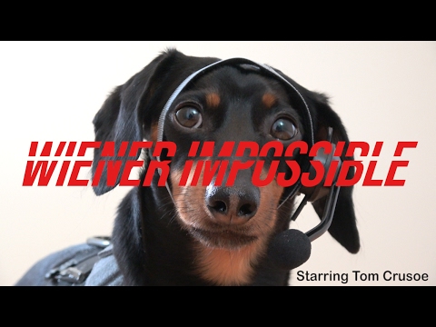 Tom Crusoe in "Wiener Impossible!"