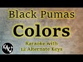Colors Karaoke - Black Pumas Instrumental Lower Higher Female Original Key